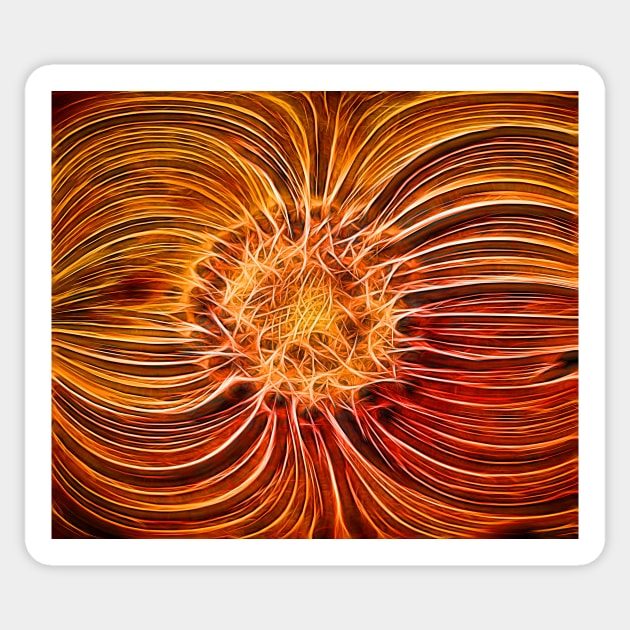 Orange gazania glowing Sticker by avrilharris